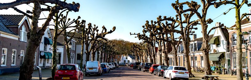 Gezellige straat in het centrum van Voorschoten met woningen en bomen